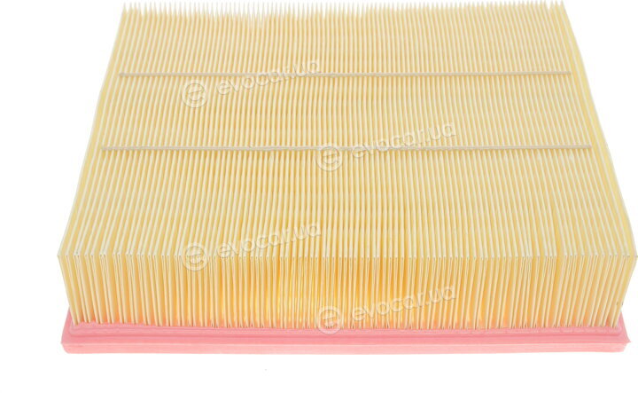 Solgy 103002