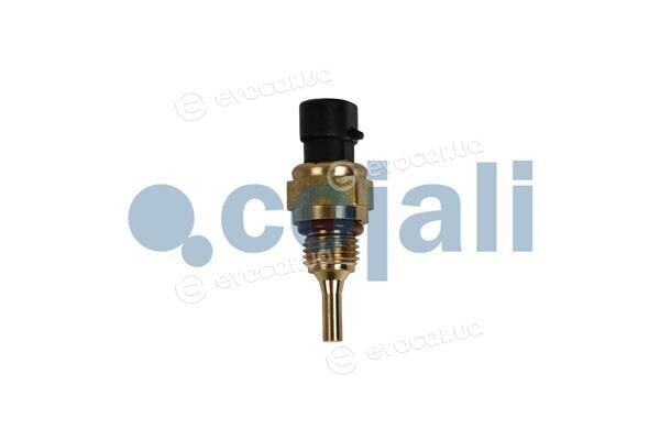 Cojali 2262054