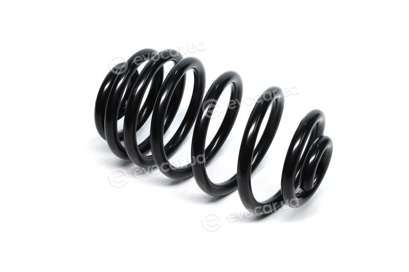 Lesjofors 4263511