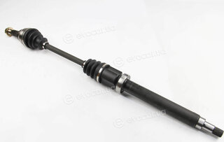BGA DS2304R