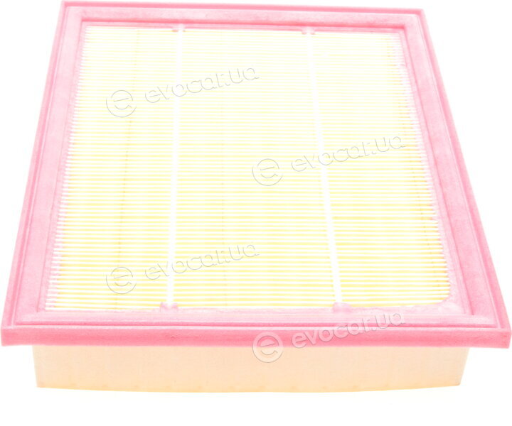 Solgy 103060