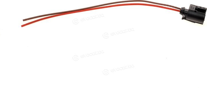Solgy 412011