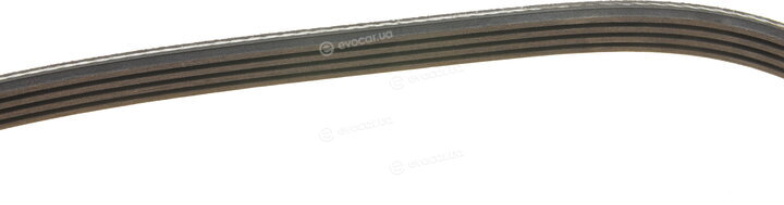 Dayco 4PK885