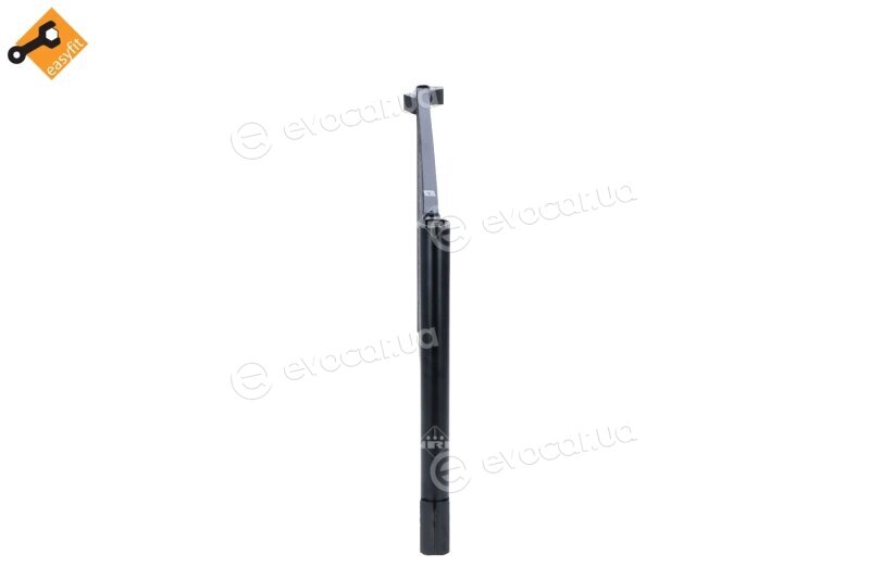 NRF 350438