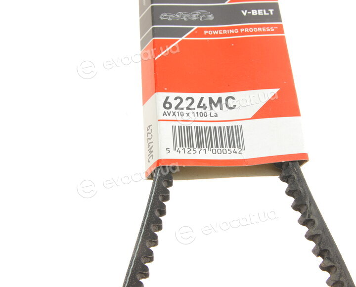 Gates 6224MC