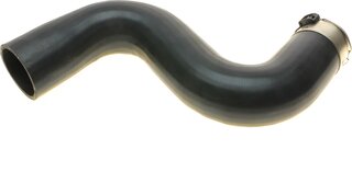 Solgy 114099