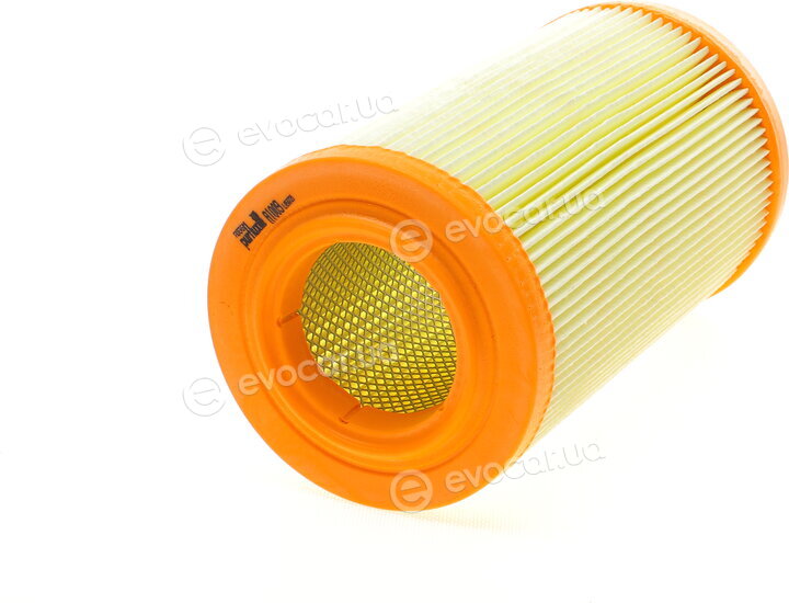 Purflux A1009