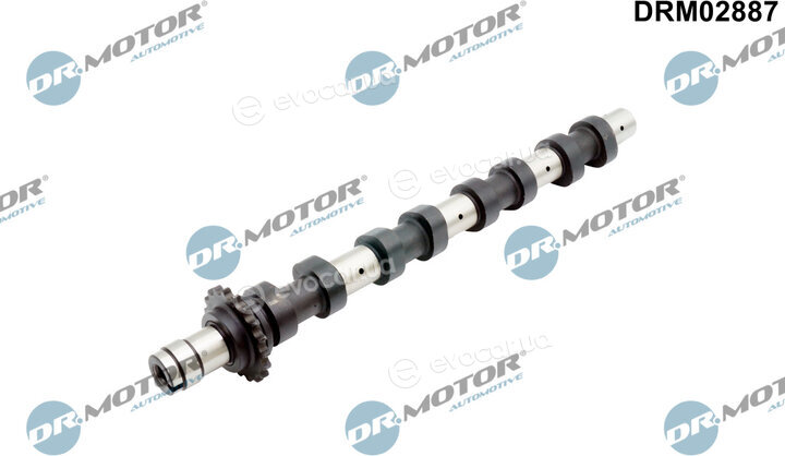 Dr. Motor DRM02887