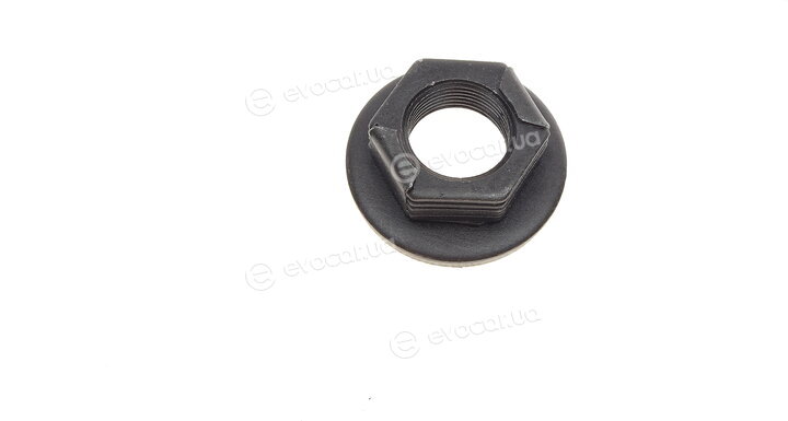 Solgy 216145