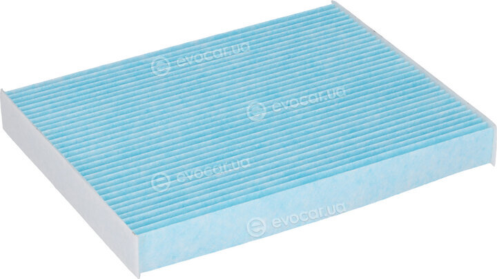 Blue Print ADG02588