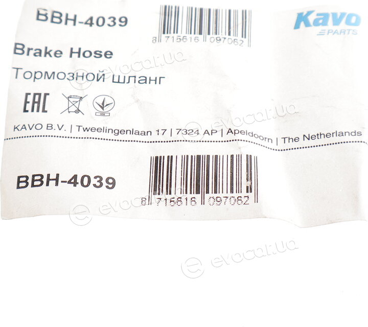 Kavo BBH-4039