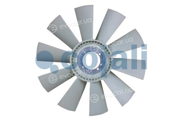Cojali 7037130