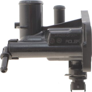 Adler 1607738580