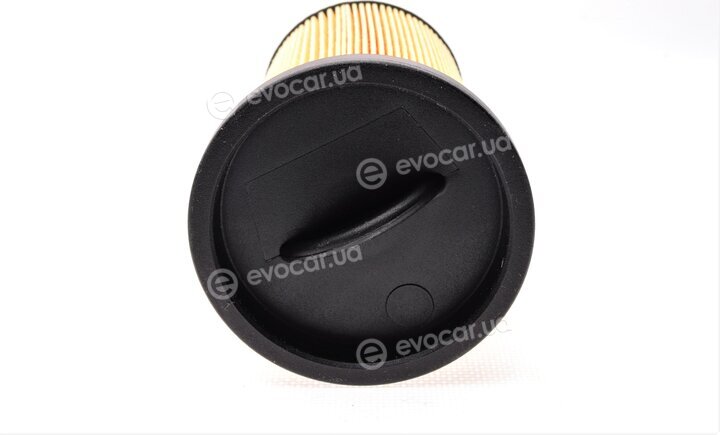 Purflux C483