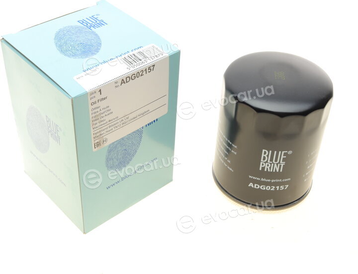 Blue Print ADG02157