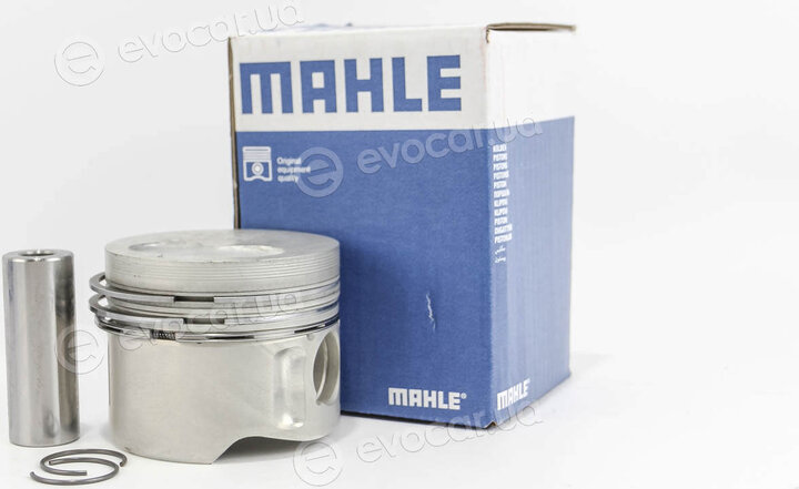 Mahle 029 82 01