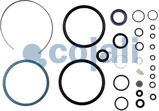 Cojali 6034021