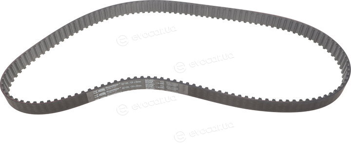 Gates K015571XS