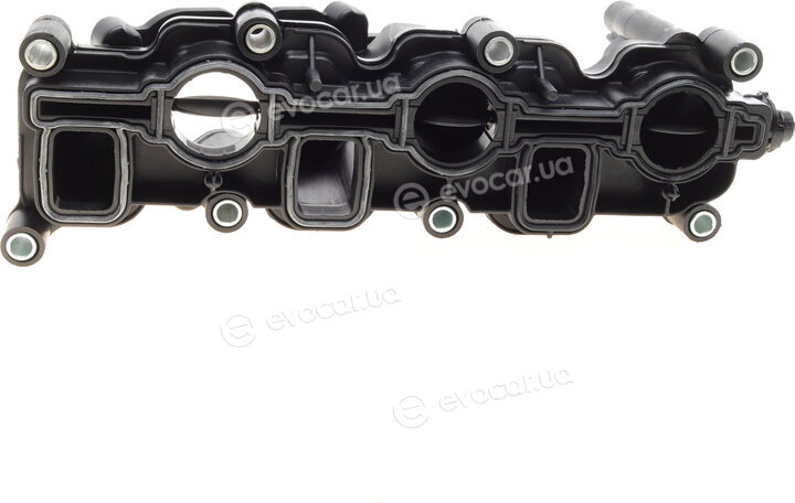 AIC 54438