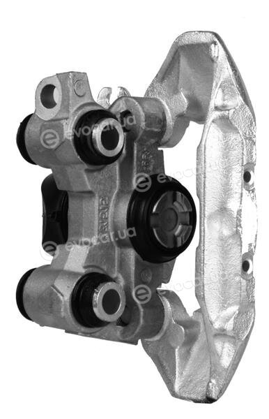Starline PB BT45