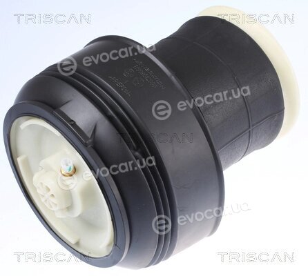 Triscan 8720 11203