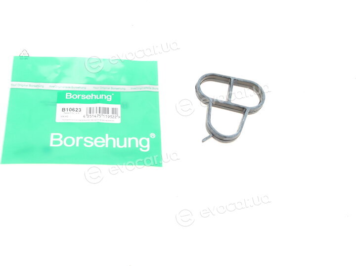 Borsehung B10623