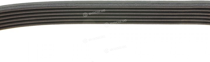 Dayco 6PK1137