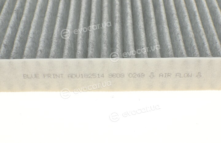Blue Print ADV182514