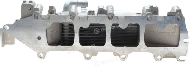 Van Wezel 58004361