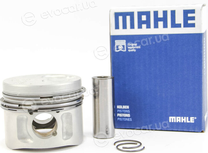 Mahle 029 82 13