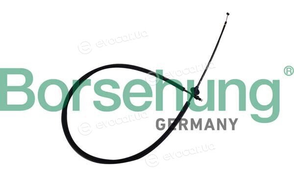 Borsehung B10778