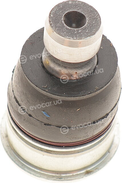 Magneti Marelli 301191619200