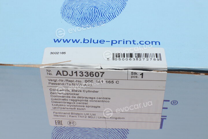 Blue Print ADJ133607