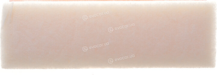 Solgy 103185