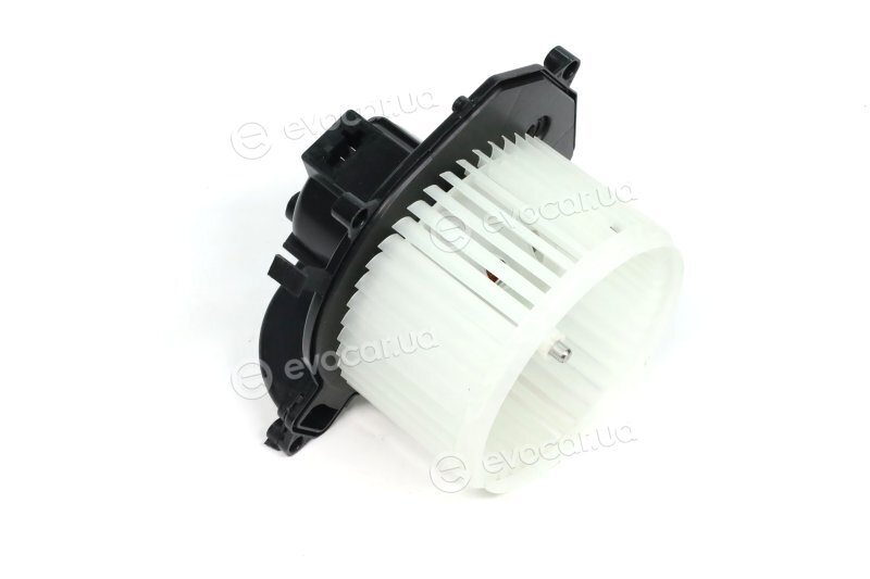 Van Wezel 0905774