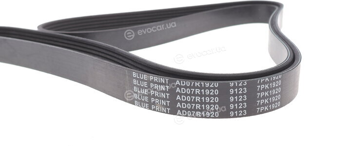 Blue Print AD07R1920