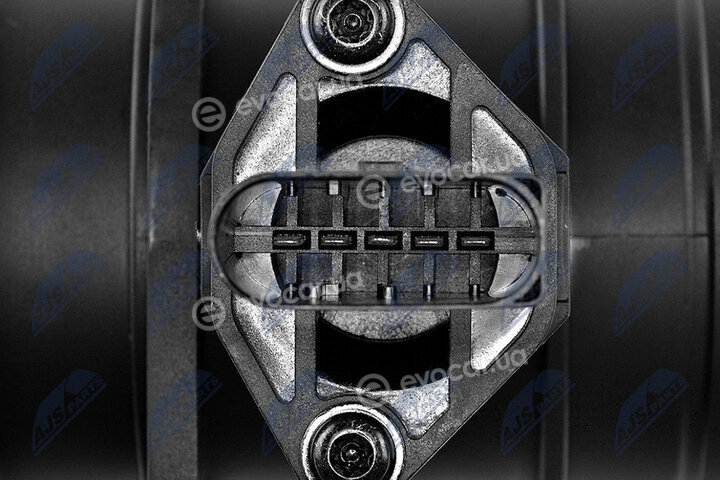 NTY EPP-AU-002