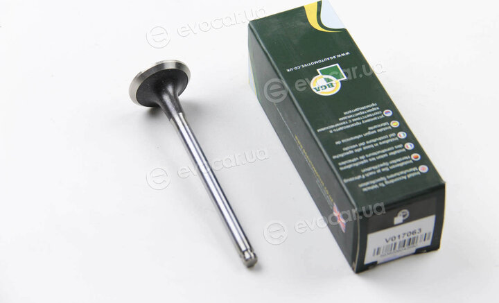 BGA V017063