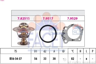 Facet 7.8251