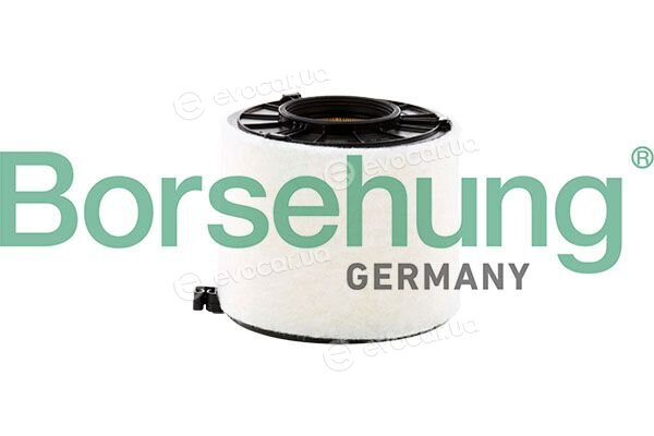 Borsehung B13198