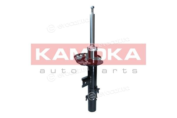 Kamoka 2001289