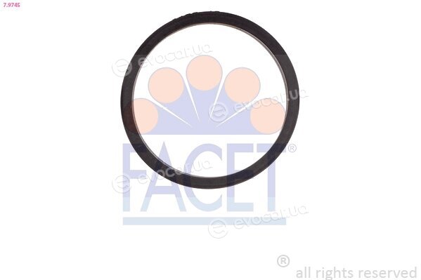Facet 7.9745