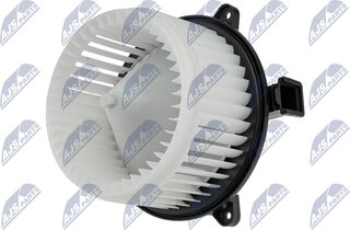 NTY EWN-PL-003