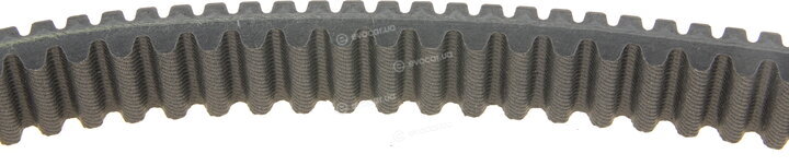 Dayco XTX2244