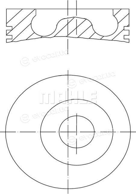 Mahle 016 02 00