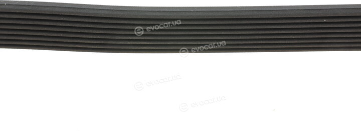 Continental 8PK1226
