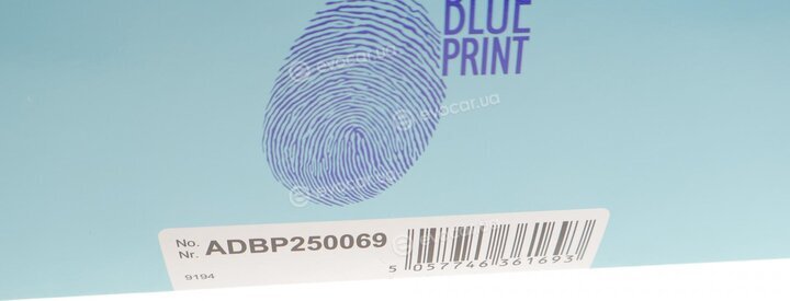 Blue Print ADBP250069