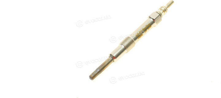 Solgy 116002