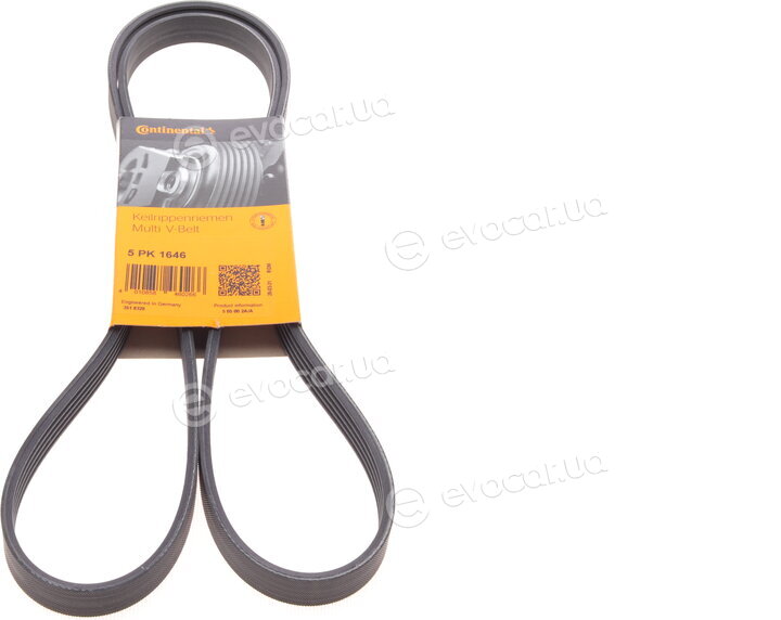 Continental 5PK1646