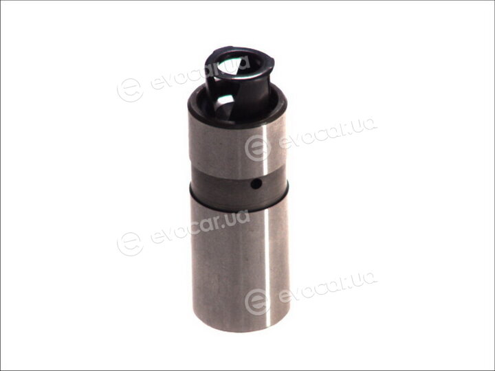 Motive HL20